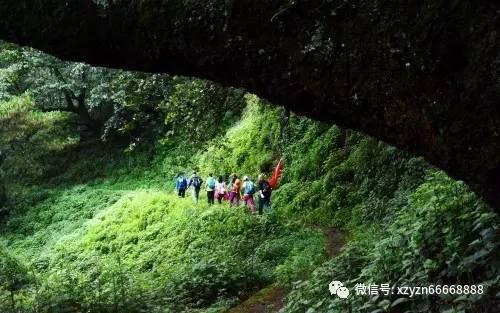 网页游戏