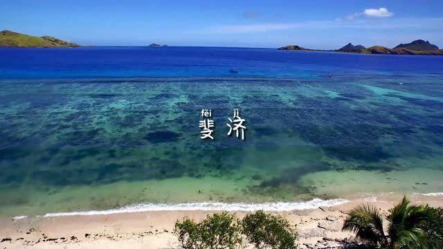 中国美术人物志——石维达·第九届艺术名家书画大拜年