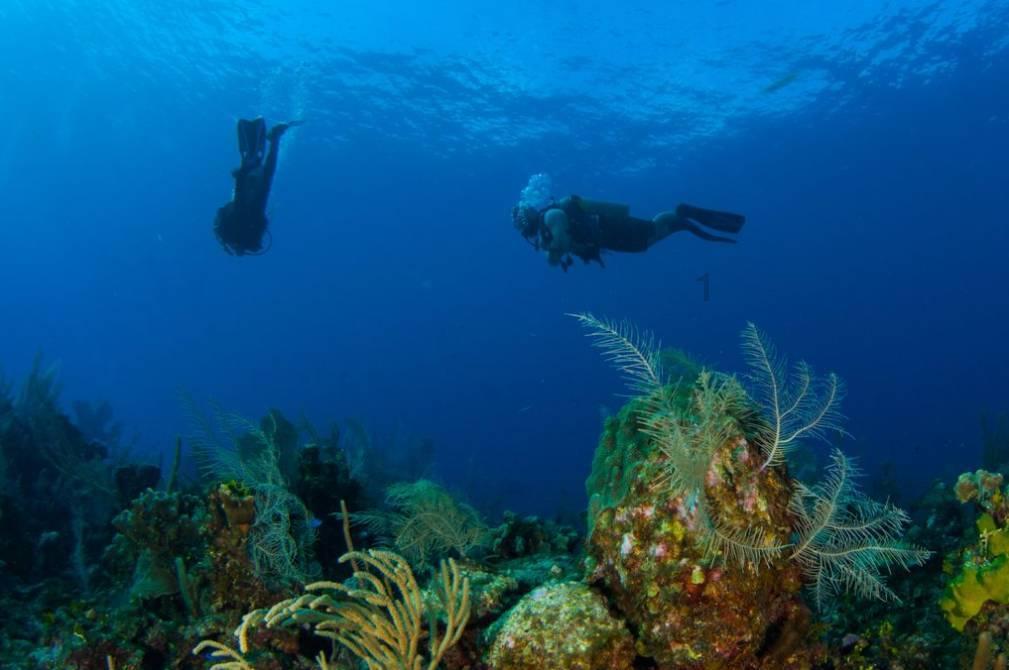 液体肥料灌装设备、液体水溶肥加工设备