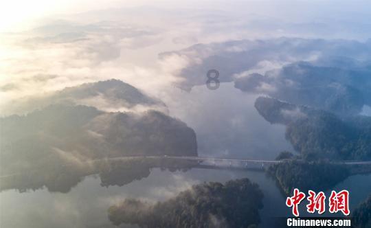 问政快报(2024.01.31)